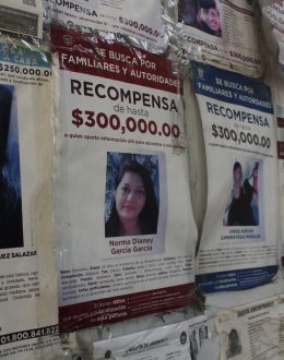 Edith, Monserrat, Laura, Lucia… Disappearance Crisis in Mexico: 31% of Missing Women Are Minors
