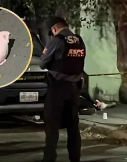 A Stuffed Pig and 17-Year-Olds: The Disturbing Pattern Behind Two Murders in Culiacán, Sinaloa