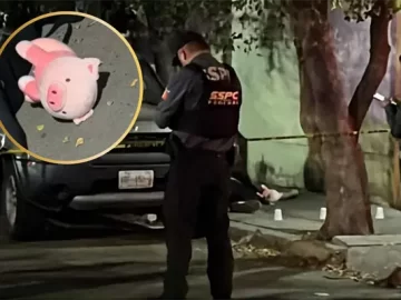 A Stuffed Pig and 17-Year-Olds: The Disturbing Pattern Behind Two Murders in Culiacán, Sinaloa
