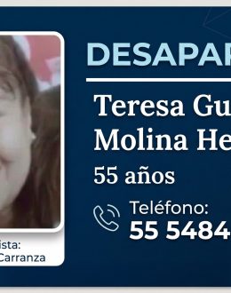 Teresa Guadalupe Molina Hernández Case: Son Fernando “N” Arrested in Mexico City for Her Disappearance