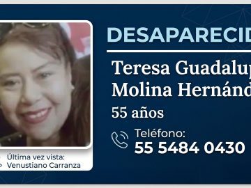 Teresa Guadalupe Molina Hernández Case: Son Fernando “N” Arrested in Mexico City for Her Disappearance
