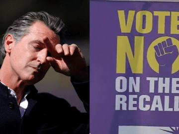 Election Results Can Wait. Here’s Why Anyone Still Chooses to Run for Public Office