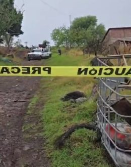 Armed Attack by Knights Templar Leaves Five Dead and Two Injured in Zamora, Michoacán