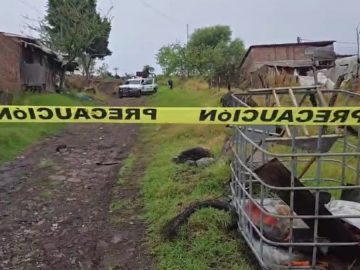Armed Attack by Knights Templar Leaves Five Dead and Two Injured in Zamora, Michoacán