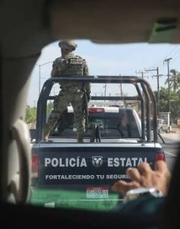American woman among those injured in mass-vehicle-ramming incident in Los Cabos, BCS; driver remains in serious condition.