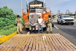 Drugs Hidden in Trucks Carrying Fruits and Vegetables on Routes from Nayarit to Tijuana