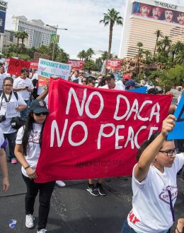 Months-Long DACA Renewal Delays Leave Many Without Work