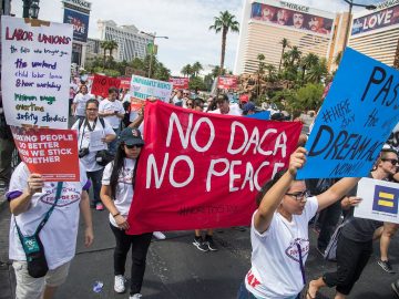 Months-Long DACA Renewal Delays Leave Many Without Work