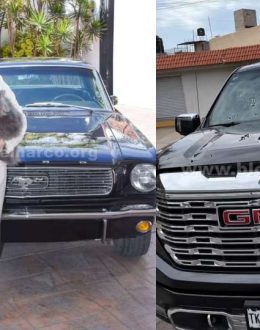 Hitmen attempted to assassinate Damaris Salazar, a councilwoman in Cortazar and the wife of Diego Estefanía Torres—a member of the Santa Rosa de Lima Cartel.