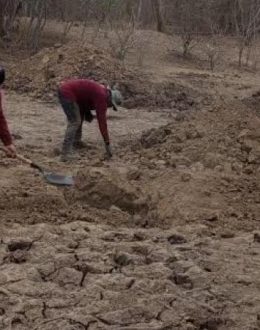 Five New Clandestine Graves Found in Concordia, Sinaloa