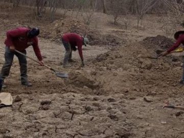 Five New Clandestine Graves Found in Concordia, Sinaloa