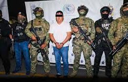 The CJNG did indeed betray “El Jardinero”; fearing he might become the leader, they provided his location to the authorities, leading to the arrest of his nephew, Carlos, in Nayarit.