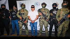 The CJNG did indeed betray “El Jardinero”; fearing he might become the leader, they provided his location to the authorities, leading to the arrest of his nephew, Carlos, in Nayarit.