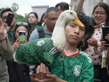 FIFA Names Merlín the Duck Official World Cup Ambassador
