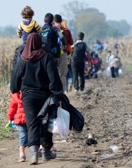 Migrants in the US must now watch out for AI, not just ICE