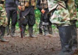 Operation regarding the kidnapping of military personnel in Nayarit leads to the rescue of a missing minor