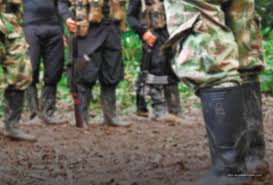 Operation regarding the kidnapping of military personnel in Nayarit leads to the rescue of a missing minor