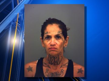 ‘La Barbie’ Estefania Primera pleads guilty to human trafficking charge, sentenced
