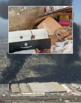 Rotting Food, Rats and No Hotel Vouchers: Boyle Heights Residents Are Left to Endure the Stench