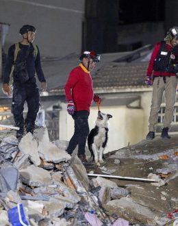 Earthquake in Venezuela: The U.S. Geological Survey estimates a 42% probability of a death toll between 10,000 and 100,000.