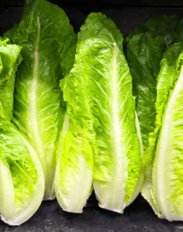 Cyclospora Investigation Now Points to Lettuce. What California Families Should Know