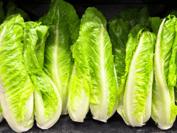 Cyclospora Investigation Now Points to Lettuce. What California Families Should Know