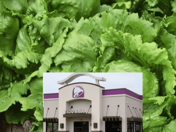 Taylor Farms Lettuce Linked to Taco Bell Cyclospora Outbreak. Here’s Why California Is Watching Closely