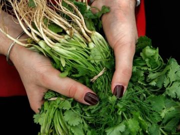 “The biggest outbreak in history”: Former FDA director links Mexican cilantro and parsley to US health crisis