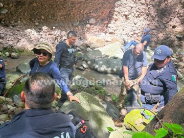Scandal in Michoacán! Massive clandestine grave found in Tacámbaro containing 375 bodies; includes remains of children as young as three