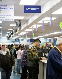 11,000 Letters, One Unanswered Question: What Happened to California Driver Tests?