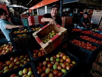 Los Angeles Wholesale Produce Market: How Latino-Owned Businesses Help Feed Southern California