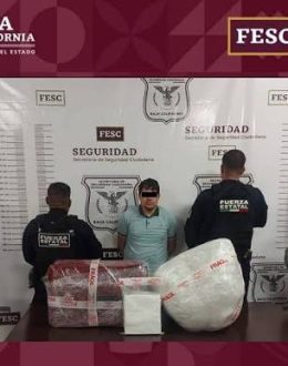 Forrajes El Barrio disclaims responsibility for 3 tons of methamphetamine found in a shipment of its product in Sonora