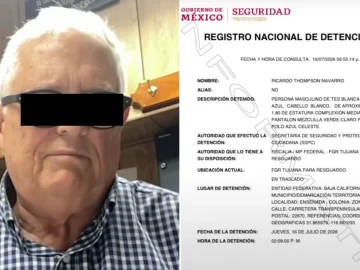 Ricardo Thompson Navarro—partner of former PAN governor Ruffo (arrested for fuel-related tax fraud)—has been detained.