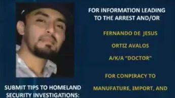 “El Doctor,” alleged “Los Viagras” operative in Michoacán, captured