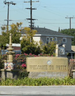 South Los Angeles Is Entering a New Political Era. District 9 May Be the First Sign.