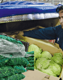 Two Foodborne Outbreaks Are Triggering Food Recalls and Restaurant Changes. What California Consumers Need to Know