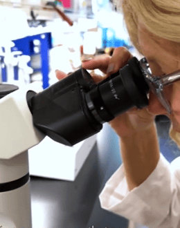 California Proposition 38 Explained: What Would $8.4 Billion for Medical Research Mean?