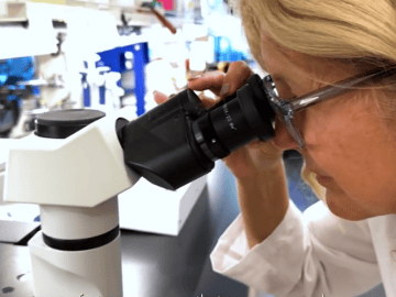 California Proposition 38 Explained: What Would $8.4 Billion for Medical Research Mean?