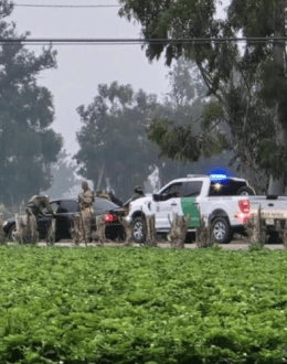 Ninth Circuit Lifts California Border Patrol Limits: What Farmworkers and Immigrant Families Need to Know