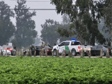 Ninth Circuit Lifts California Border Patrol Limits: What Farmworkers and Immigrant Families Need to Know