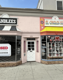 Survive the Storm: What Small Businesses Should Protect When Money Gets Tight