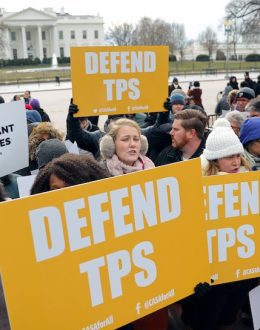 Salvadoran TPS Expires in September. Could Bukele’s Relationship With Trump Have Saved an Extension?