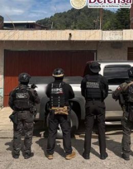 “X1,” a member of the Caballeros Templarios cartel, captured alongside 11 other extortionists targeting Michoacán’s avocado sector
