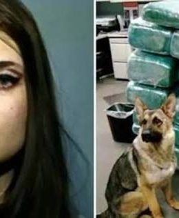 Private jet travel and cocaine to woo friends: the “Korean Paris Hilton” who ended up in prison for drug trafficking