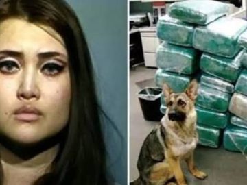 Private jet travel and cocaine to woo friends: the “Korean Paris Hilton” who ended up in prison for drug trafficking