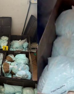 Mexico and the DEA Seize Millions of Fentanyl Pills from “Los Rusos” in Mexicali, Baja California