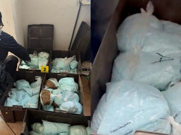Mexico and the DEA Seize Millions of Fentanyl Pills from “Los Rusos” in Mexicali, Baja California