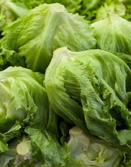Lettuce Is Back on the Menu: What Californians Need to Know After the Cyclospora Outbreak