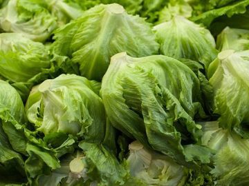 Lettuce Is Back on the Menu: What Californians Need to Know After the Cyclospora Outbreak