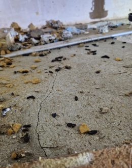Rats Don’t Evacuate: The Real Issue in Boyle Heights
